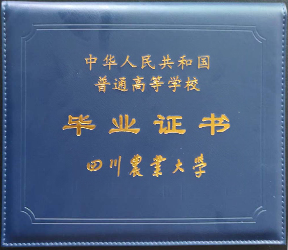 赤峰計算機培訓學校